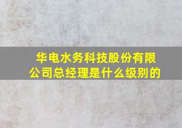 华电水务科技股份有限公司总经理是什么级别的