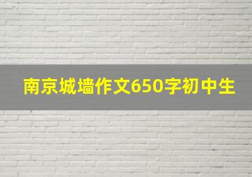 南京城墙作文650字初中生