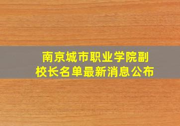 南京城市职业学院副校长名单最新消息公布