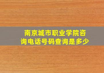 南京城市职业学院咨询电话号码查询是多少