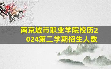 南京城市职业学院校历2024第二学期招生人数