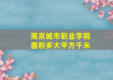 南京城市职业学院面积多大平方千米