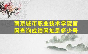 南京城市职业技术学院官网查询成绩网址是多少号