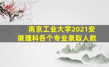 南京工业大学2021安徽理科各个专业录取人数