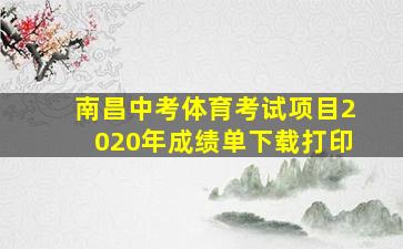 南昌中考体育考试项目2020年成绩单下载打印