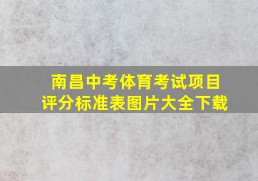 南昌中考体育考试项目评分标准表图片大全下载