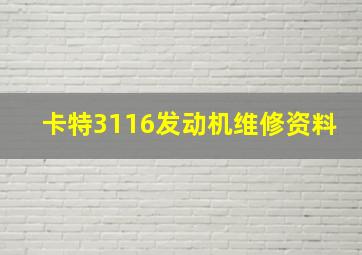 卡特3116发动机维修资料