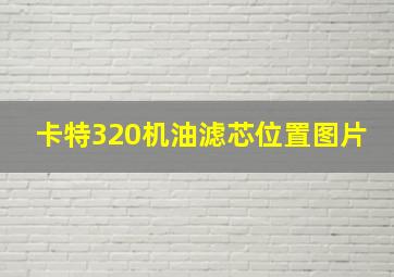 卡特320机油滤芯位置图片