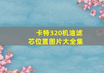 卡特320机油滤芯位置图片大全集