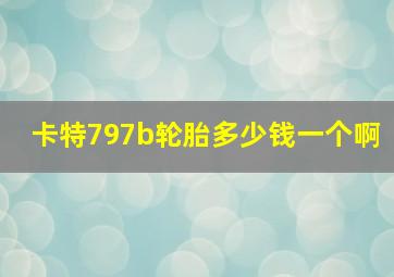 卡特797b轮胎多少钱一个啊