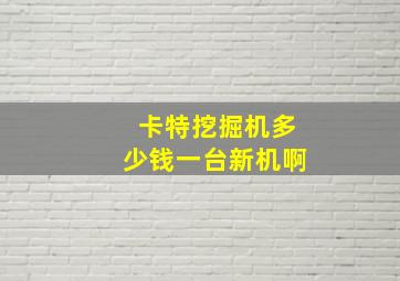 卡特挖掘机多少钱一台新机啊