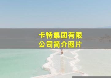 卡特集团有限公司简介图片