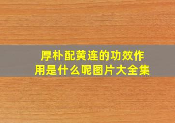 厚朴配黄连的功效作用是什么呢图片大全集