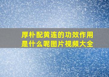 厚朴配黄连的功效作用是什么呢图片视频大全