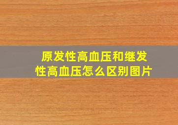 原发性高血压和继发性高血压怎么区别图片