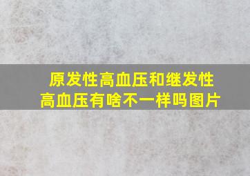 原发性高血压和继发性高血压有啥不一样吗图片