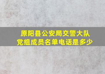 原阳县公安局交警大队党组成员名单电话是多少