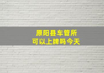 原阳县车管所可以上牌吗今天