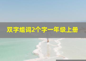 双字组词2个字一年级上册