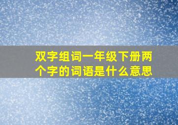 双字组词一年级下册两个字的词语是什么意思