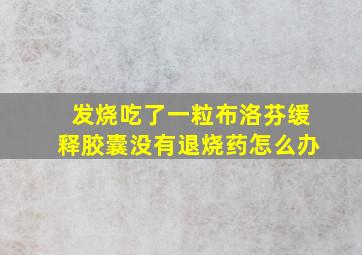 发烧吃了一粒布洛芬缓释胶囊没有退烧药怎么办