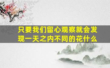 只要我们留心观察就会发现一天之内不同的花什么