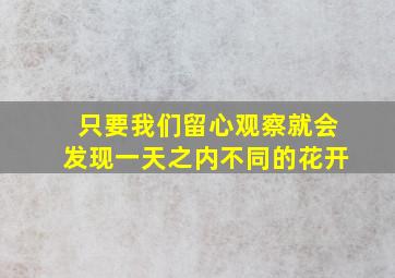 只要我们留心观察就会发现一天之内不同的花开