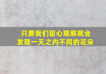 只要我们留心观察就会发现一天之内不同的花朵