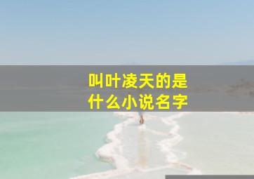 叫叶凌天的是什么小说名字