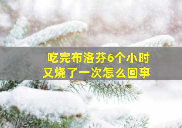 吃完布洛芬6个小时又烧了一次怎么回事