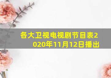 各大卫视电视剧节目表2020年11月12日播出