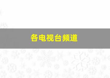 各电视台频道