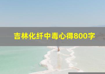 吉林化纤中毒心得800字