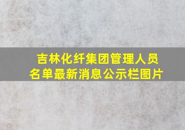 吉林化纤集团管理人员名单最新消息公示栏图片