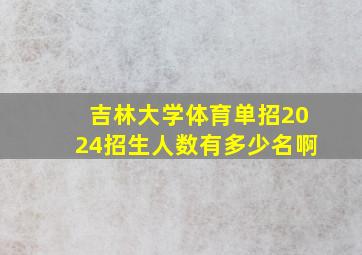 吉林大学体育单招2024招生人数有多少名啊