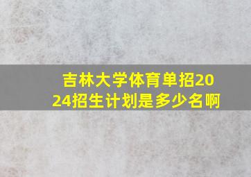 吉林大学体育单招2024招生计划是多少名啊