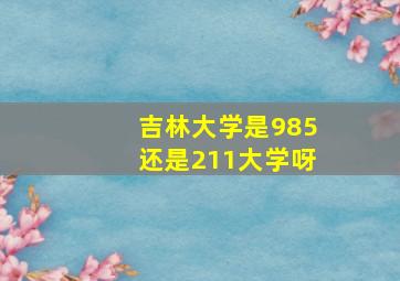 吉林大学是985还是211大学呀