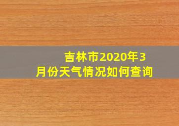 吉林市2020年3月份天气情况如何查询