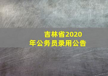 吉林省2020年公务员录用公告