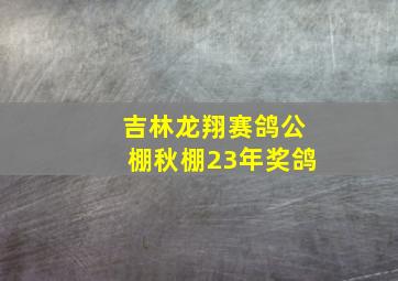 吉林龙翔赛鸽公棚秋棚23年奖鸽