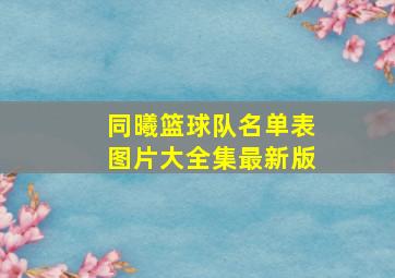 同曦篮球队名单表图片大全集最新版