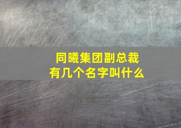 同曦集团副总裁有几个名字叫什么