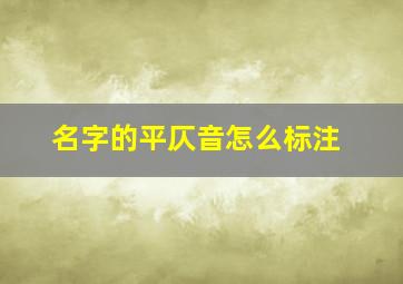 名字的平仄音怎么标注