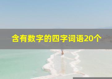 含有数字的四字词语20个