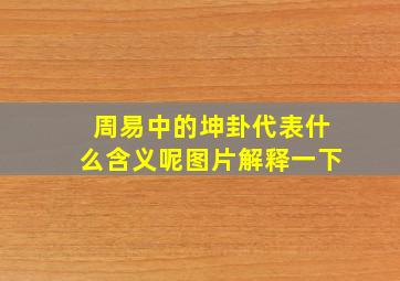 周易中的坤卦代表什么含义呢图片解释一下