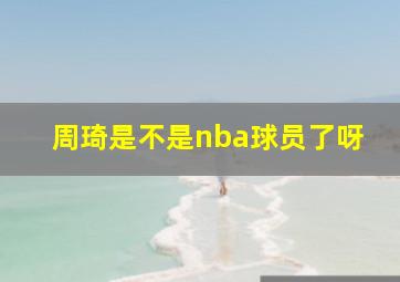 周琦是不是nba球员了呀