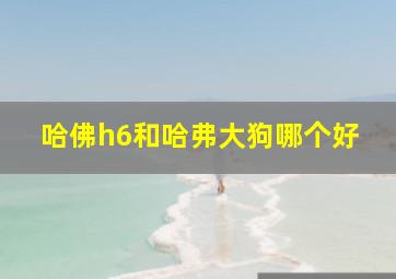 哈佛h6和哈弗大狗哪个好