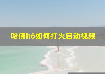 哈佛h6如何打火启动视频