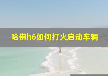 哈佛h6如何打火启动车辆