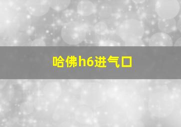 哈佛h6进气口